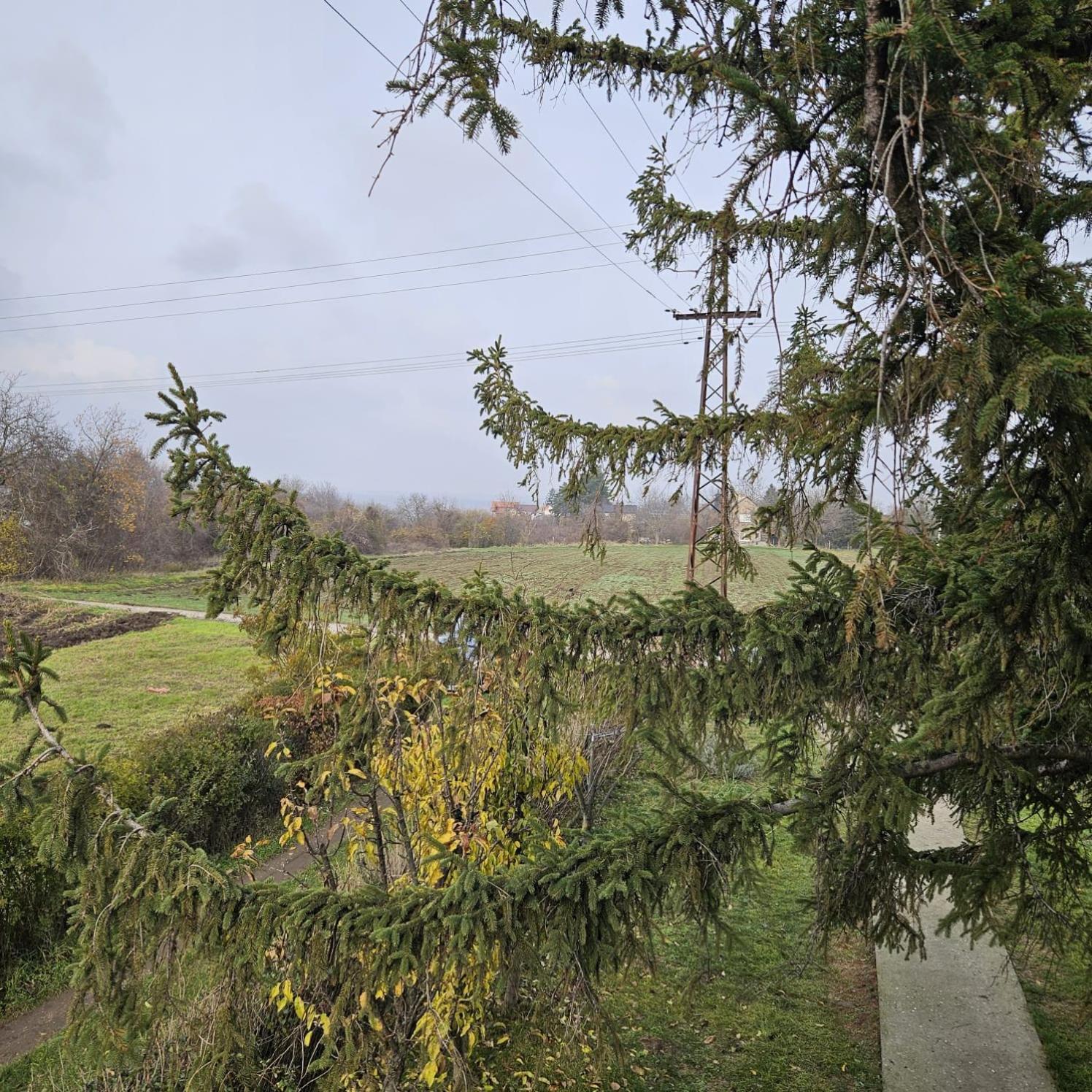 Diamond House Rent Vikendica Villa Beška Esterno foto